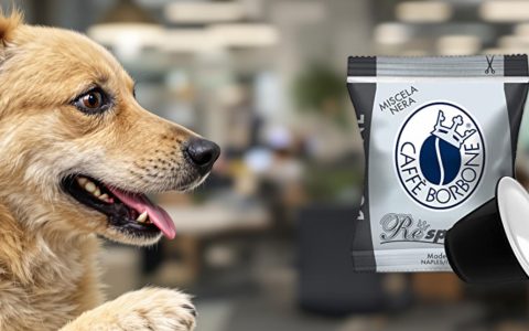 Capsule Caffè Borbone: il gusto intenso in offerta imperdibile